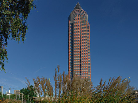 Messeturm mit Wiese Foto 