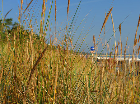 Fotos Dünen | Ostseebad Binz