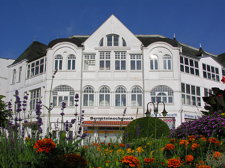 Seebrücke Binz Fotos