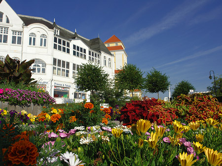 Foto Seebrücke Binz - Ostseebad Binz