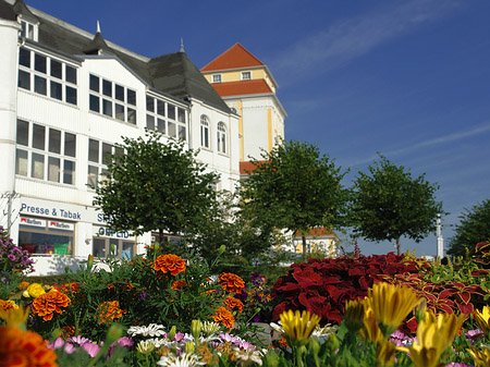 Seebrücke Binz Foto 