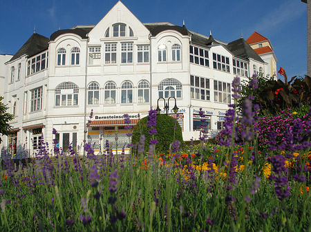 Seebrücke Binz Fotos