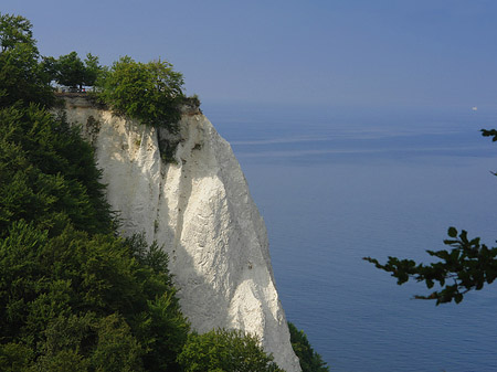 Foto Königsstuhl Kreidefelsen