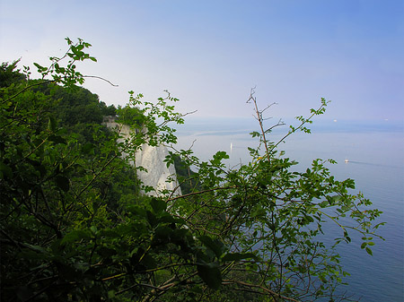 Foto Königsstuhl Kreidefelsen - 