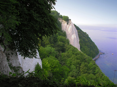 Königsstuhl Kreidefelsen