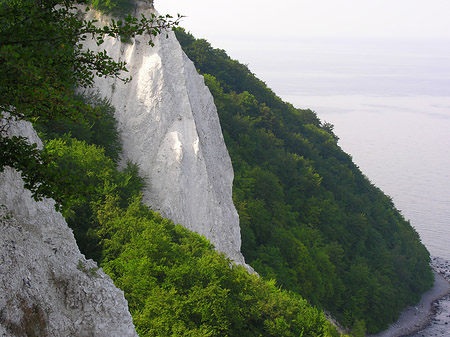 Foto Königsstuhl Kreidefelsen