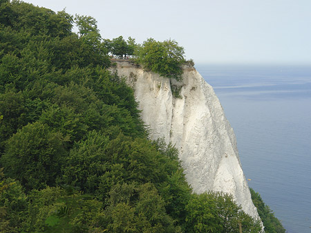 Königsstuhl Kreidefelsen