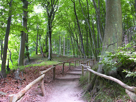 Kreidefelsen Wanderweg