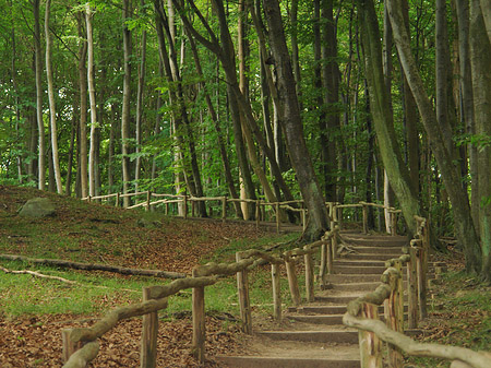 Fotos Kreidefelsen Wanderweg