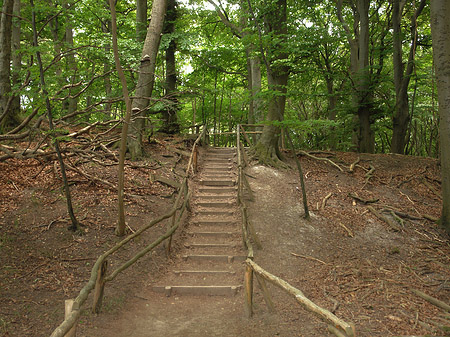 Kreidefelsen Wanderweg Fotos