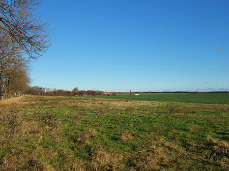 Foto Feld - 