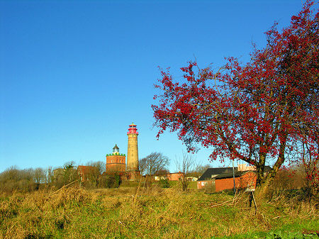 Foto Bäume