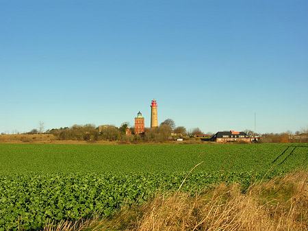 Fotos Turm aus der Ferne | 