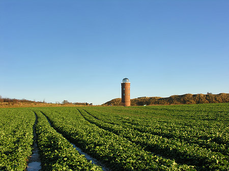 Foto Turm aus der Ferne