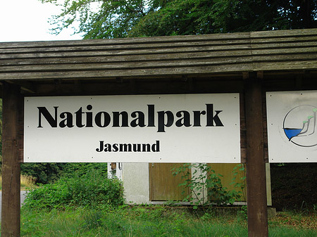 Fotos Nationalpark Jasmund | Sassnitz