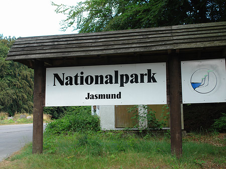 Fotos Nationalpark Jasmund