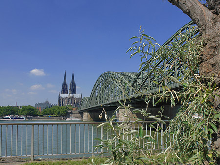 Fotos Hohenzollernbrücke am Kölner Dom