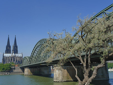 Fotos Hohenzollernbrücke am Kölner Dom