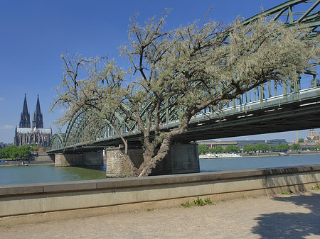 Foto Hohenzollernbrücke am Kölner Dom - Köln