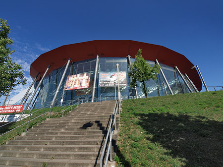 Fotos Kölnarena auf der Treppe | Köln