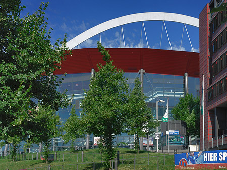 Foto Kölnarena auf einer Wiese