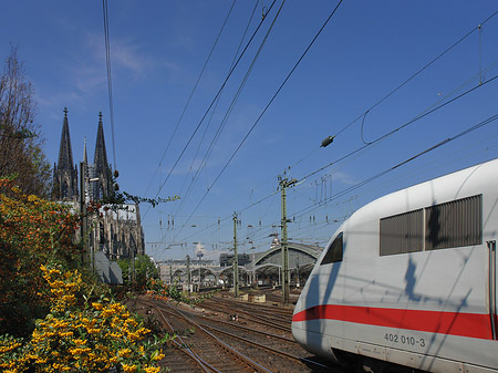 Foto Kölner Dom mit ICE - Köln