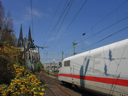 Foto Kölner Dom mit ICE - Köln