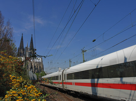 Kölner Dom mit ICE Foto 