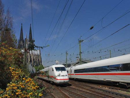 Fotos Kölner Dom mit ICE | Köln