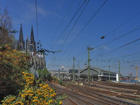 Fotos Hauptbahnhof neben dem Kölner Dom