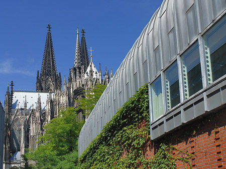 Foto Hauptbahnhof vor dem Kölner Dom - Köln