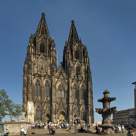 Foto Kreuzblume vor Kölner Dom