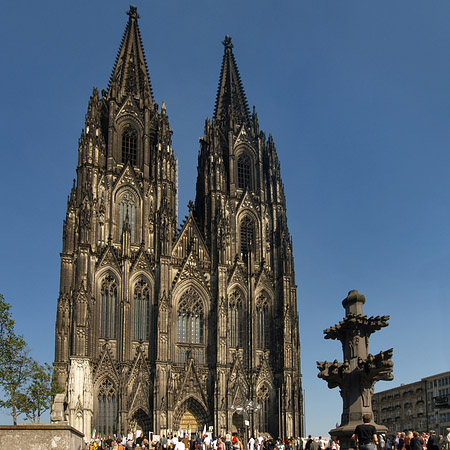 Kreuzblume vor Kölner Dom Foto 