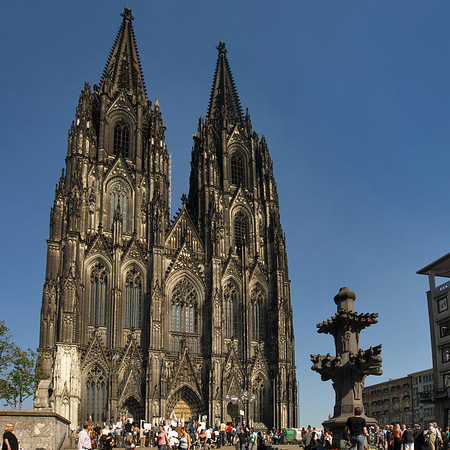 Fotos Kreuzblume vor Kölner Dom | Köln