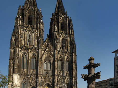 Foto Kreuzblume vor Kölner Dom