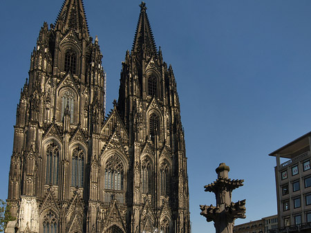 Foto Kreuzblume vor Kölner Dom