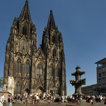 Foto Kreuzblume vor Kölner Dom - Köln