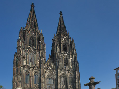 Kreuzblume vor Kölner Dom Foto 