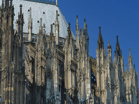 Südseite des Kölner Doms Foto 