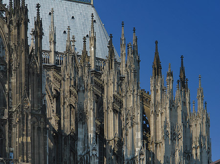 Südseite des Kölner Doms Foto 