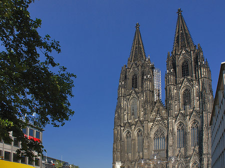 Fotos gelbe Sonnenschirme vor Kölner Dom