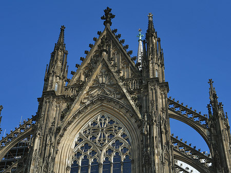 Fotos Südportal des Kölner Doms | Köln