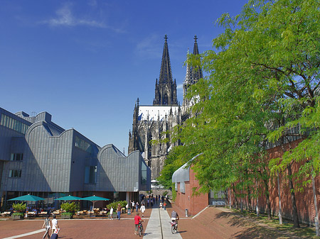 Weg zum Kölner Dom Foto 