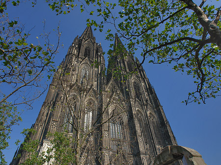 Westfassade des Kölner Doms