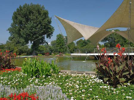 Tanzbrunnen im Rheinpark Fotos