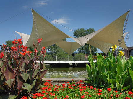 Foto Tanzbrunnen im Rheinpark