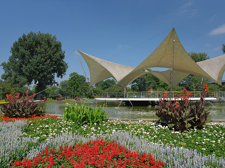 Tanzbrunnen im Rheinpark