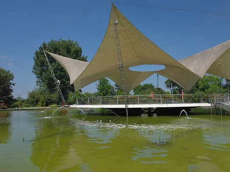 Tanzbrunnen im Rheinpark Foto 