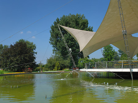 Foto Tanzbrunnen im Rheinpark