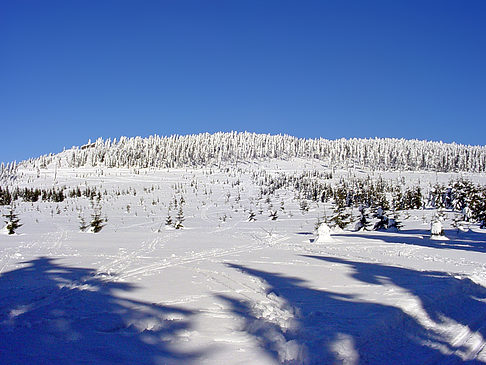 Foto Brockenwanderung